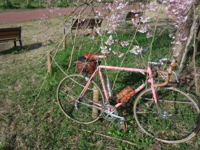 桜デローサ