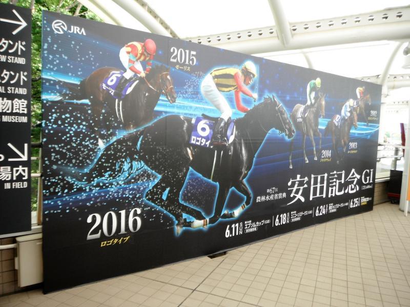 安田記念指定席初観戦!香港馬の大幅馬体減に感謝(^^;ロゴタイプに感謝