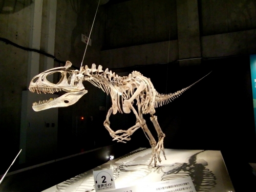 Cryolophosaurus ellioti 1