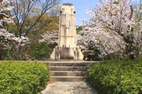 鶴舞公園の桜14