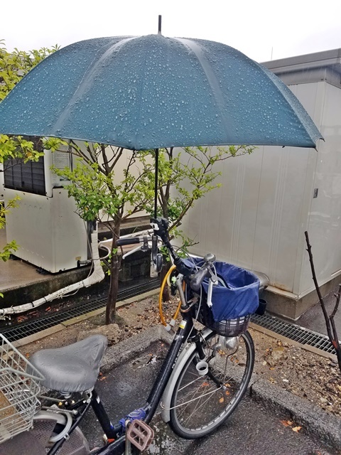 自転車傘