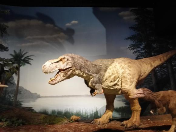 ミュージアムパーク　茨城県自然博物館　自然　博物館　恐竜　子連れ　遊び　公園