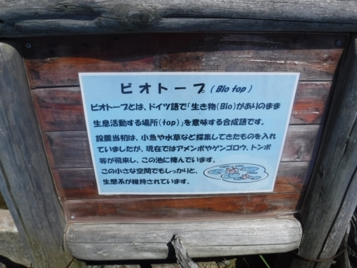 下田海中水族館 (29)