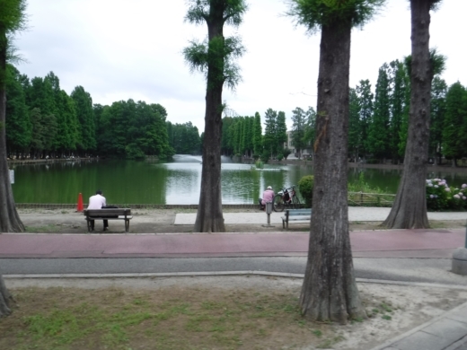 別所沼公園雑魚釣り (1)