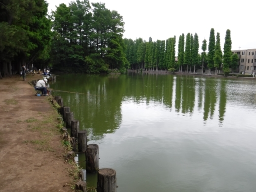 別所沼公園雑魚釣り (6)