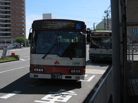 nk-bus-1.jpg