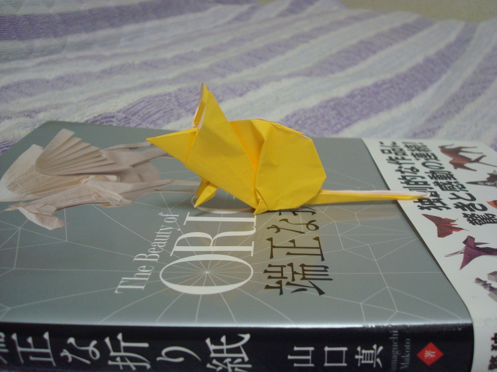 Origami-45.jpg