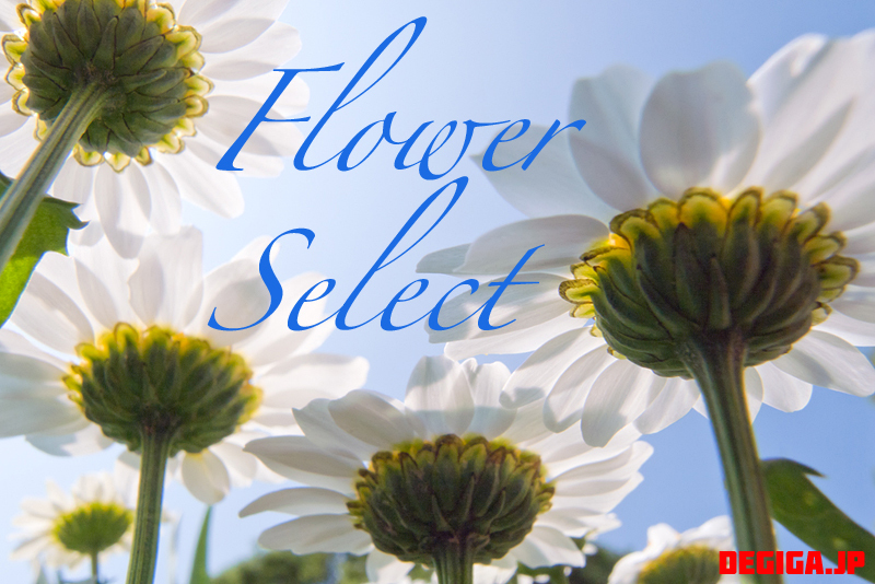 flower-select