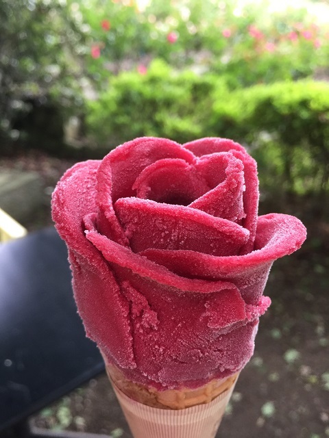 ローズガーデンカフェ 薔薇のアイス（カシス）