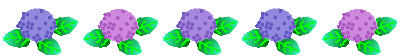 紫陽花フリー素材