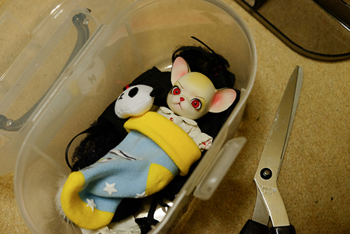 球体関節人形の動物ドール、パンジュ・ブラックルシアン・ロイ。収納BOXの中で、こんな状態になっていた。