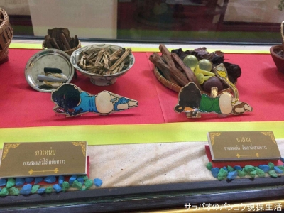 Abhaibhubejhr Thai Herbal Medicine Museum