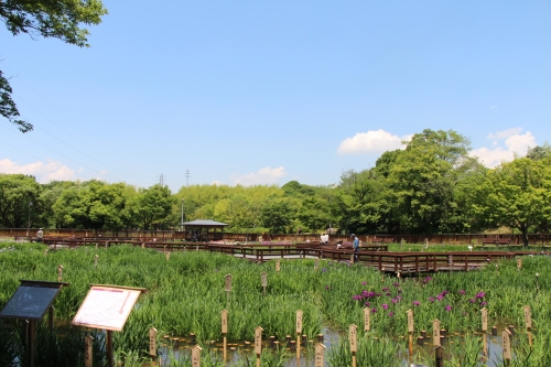 山田池公園