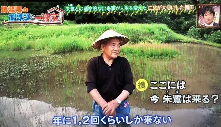 たか高野毅 3010月 TV「新潟県のぽつんと一軒家」 (7)