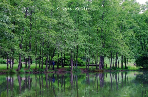 ひょうたん池木立