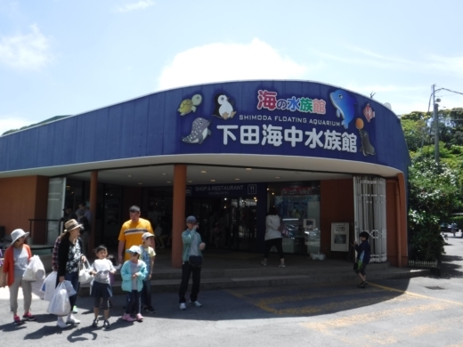 下田海中水族館 (4)