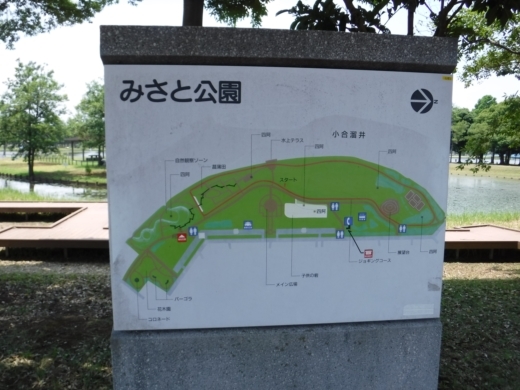 みさと公園 (9)