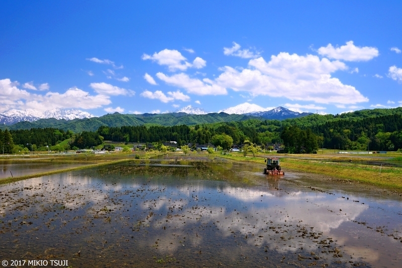 絶景探しの旅 - 0227 立山の里の初夏の田園風景（富山県 立山町）